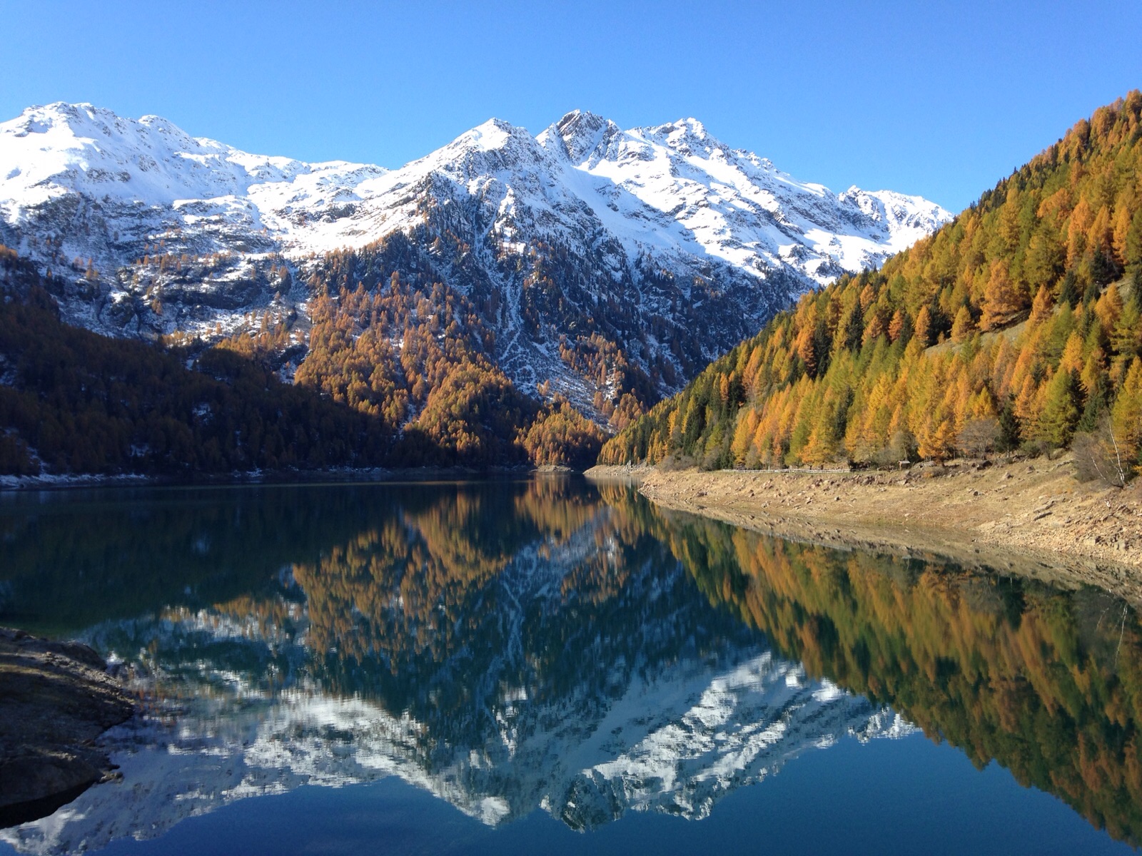 Trasporti Pubblici, Val di Sole